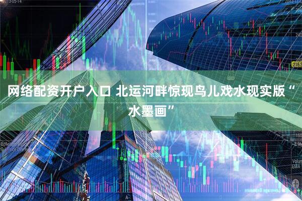 网络配资开户入口 北运河畔惊现鸟儿戏水现实版“水墨画”
